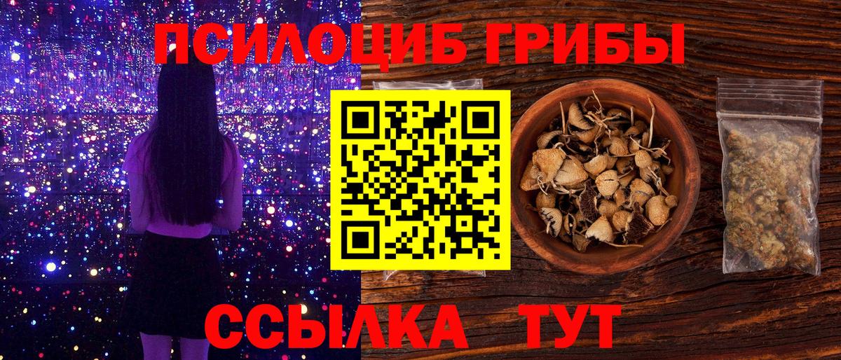 Галлюциногенные грибы Cubensis Богородск