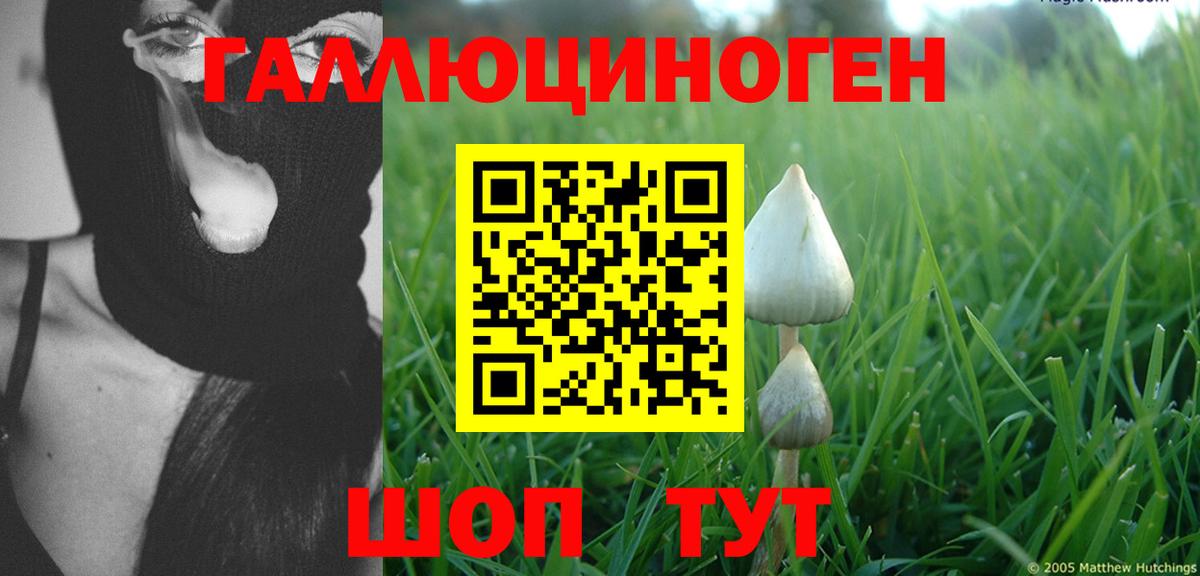 Псилоцибиновые грибы мицелий  Вход с VPN  Богородск  Галлюциногенные грибы мухоморы 